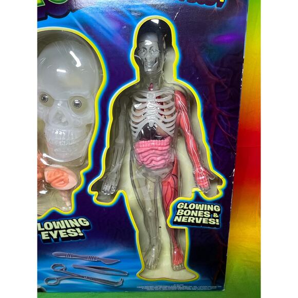 SMARTLAB Toys Totally Squishy from Head-to-Toe Human Body - Picture 2 of 6